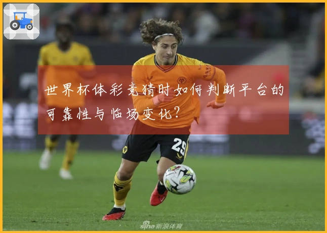世界杯体彩竞猜时如何判断平台的可靠性与临场变化？