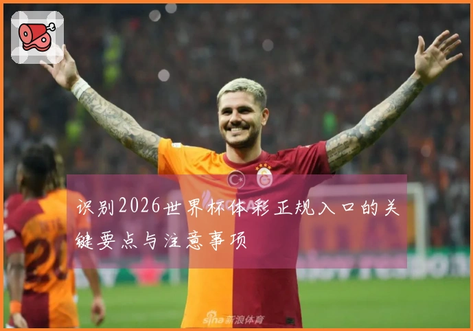 识别2026世界杯体彩正规入口的关键要点与注意事项
