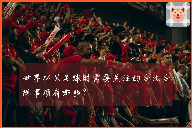 世界杯买足球时需要关注的合法合规事项有哪些？