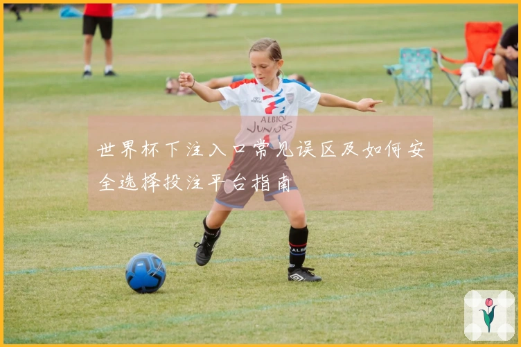 世界杯下注入口常见误区及如何安全选择投注平台指南