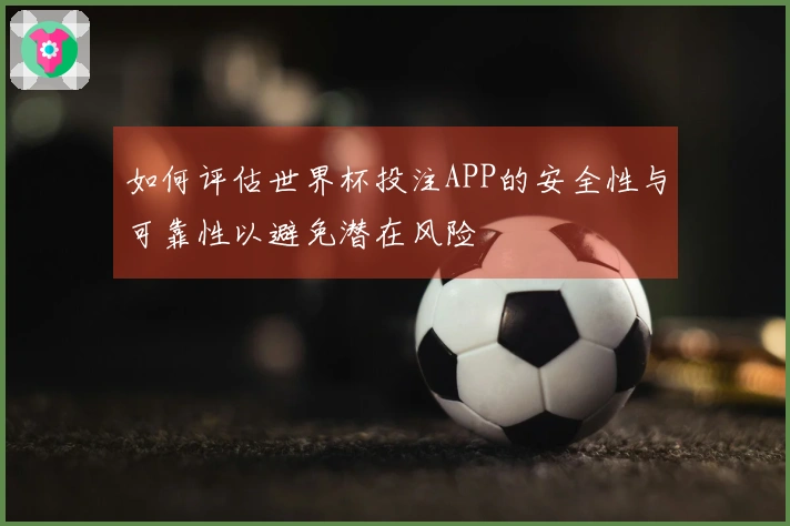 如何评估世界杯投注APP的安全性与可靠性以避免潜在风险