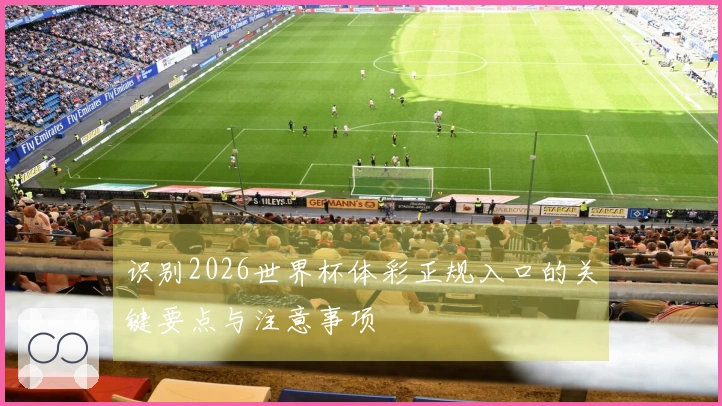 识别2026世界杯体彩正规入口的关键要点与注意事项